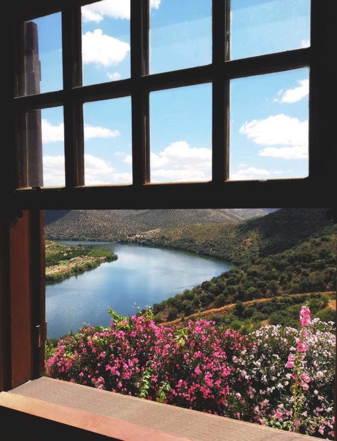 Villa Auri Vila Nova de Fozcoa Exteriér fotografie