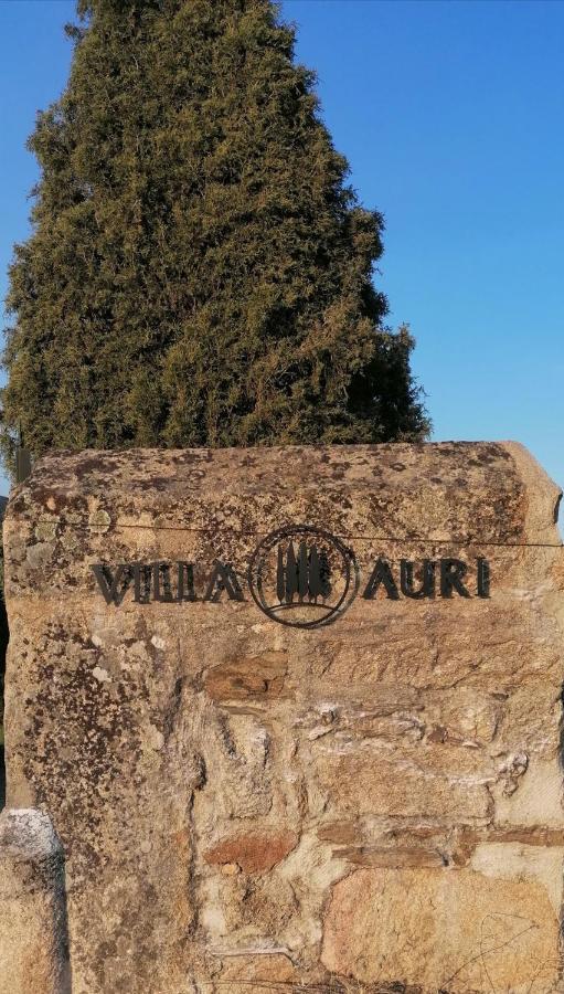 Villa Auri Vila Nova de Fozcoa Exteriér fotografie