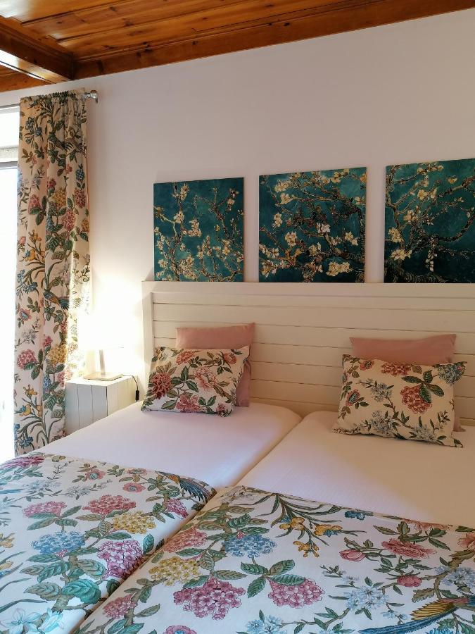 Villa Auri Vila Nova de Fozcoa Exteriér fotografie