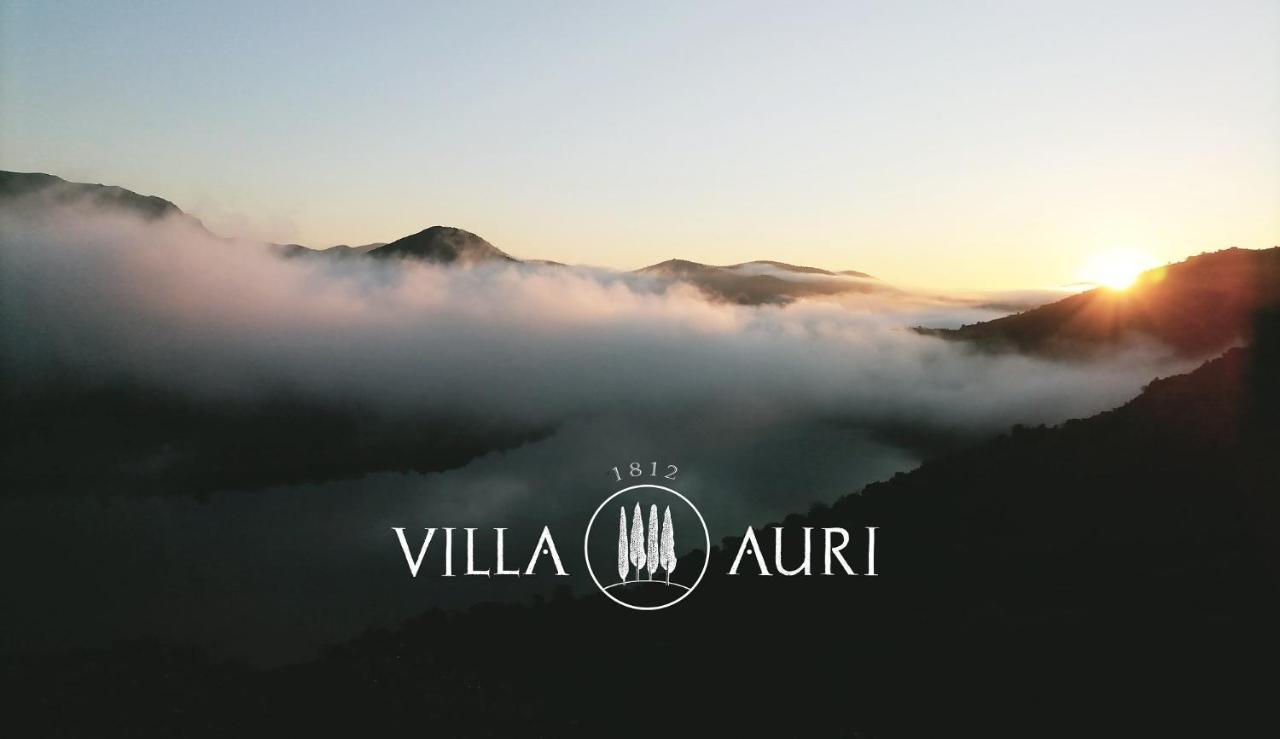 Villa Auri Vila Nova de Fozcoa Exteriér fotografie